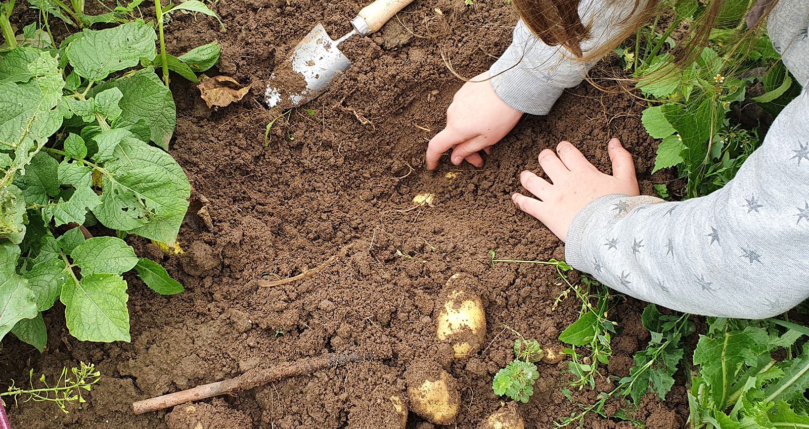 schooltuin schooltuintjes